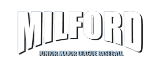 2nd Annual CT Foodie Fest - partnership with Milford Junior Major Baseball League